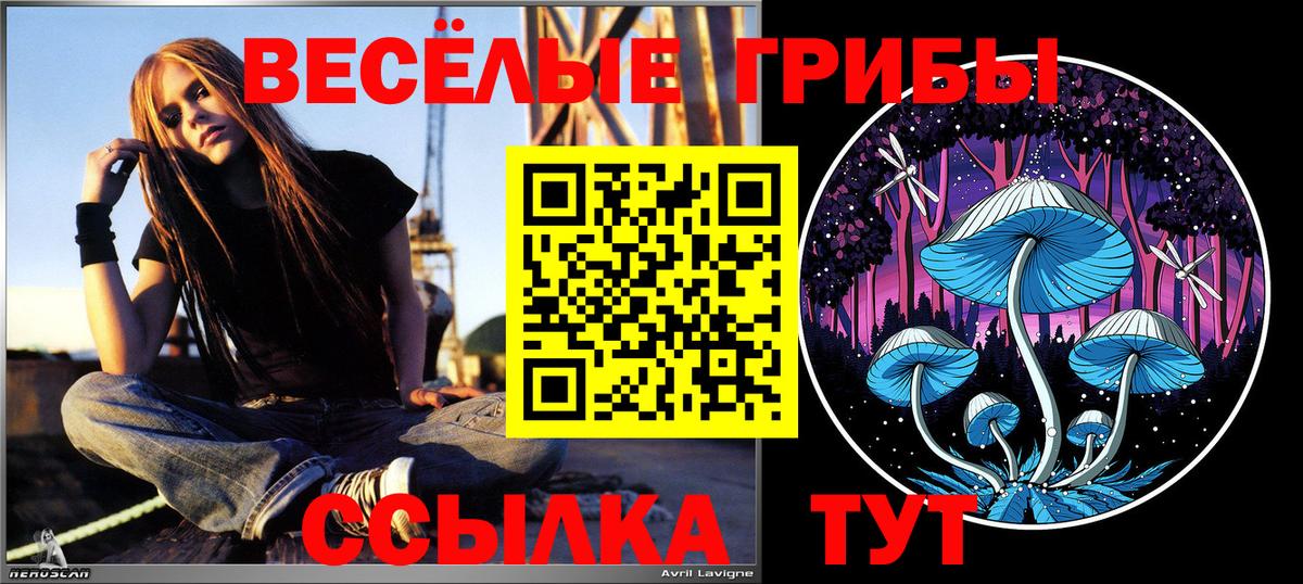Галлюциногенные грибы Psilocybe  Вход с VPN  Карпинск 